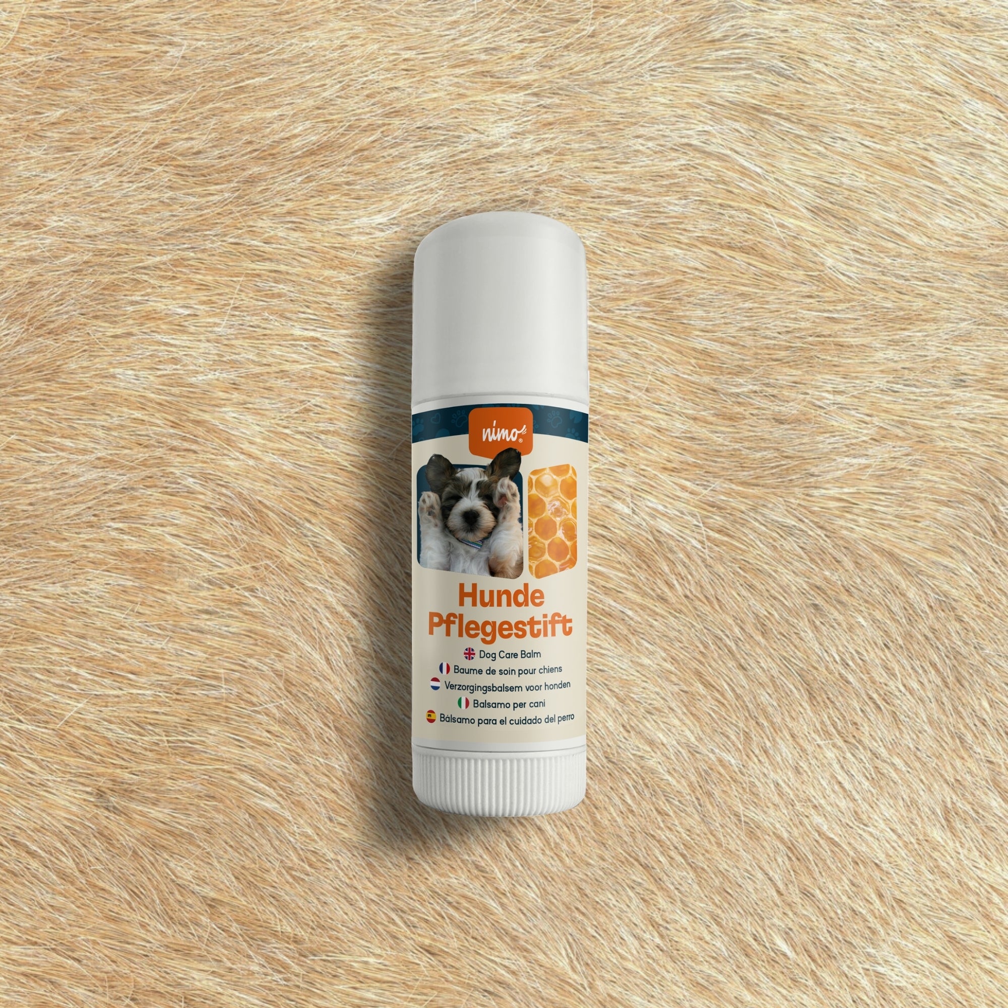 Hunde Pflegestift